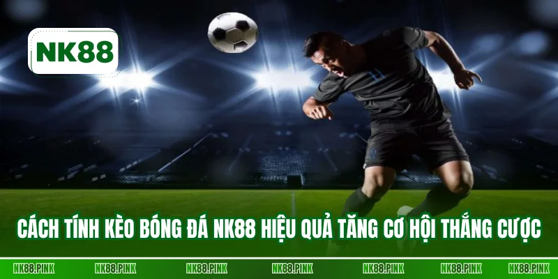 Cách tính kèo bóng đá NK88 hiệu quả tăng cơ hội thắng cược