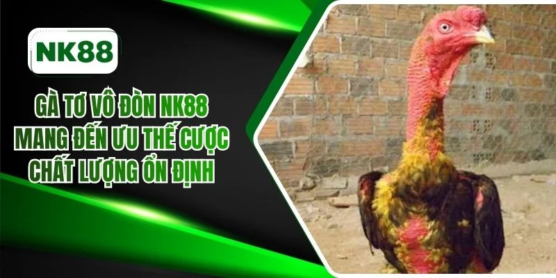 Gà tơ vô đòn NK88